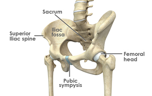 Ball And Socket Joint An Overview Sciencedirect Topics